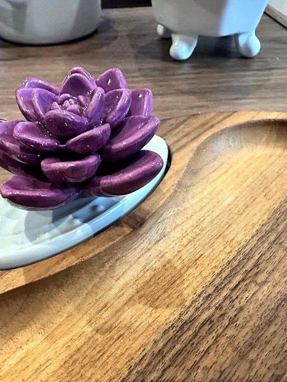 Nora Fleming mini succulent